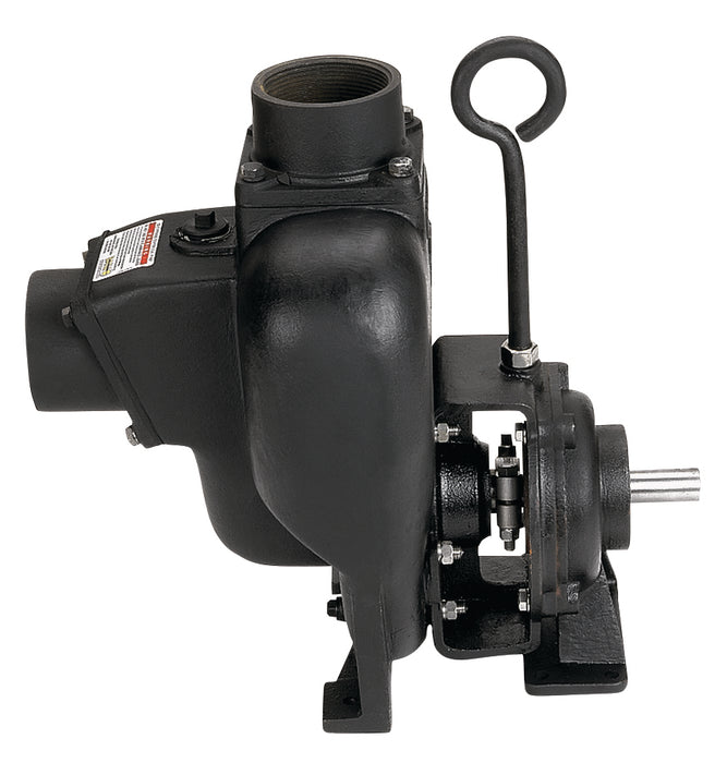 3" CI Bearing Pedestal with 1"