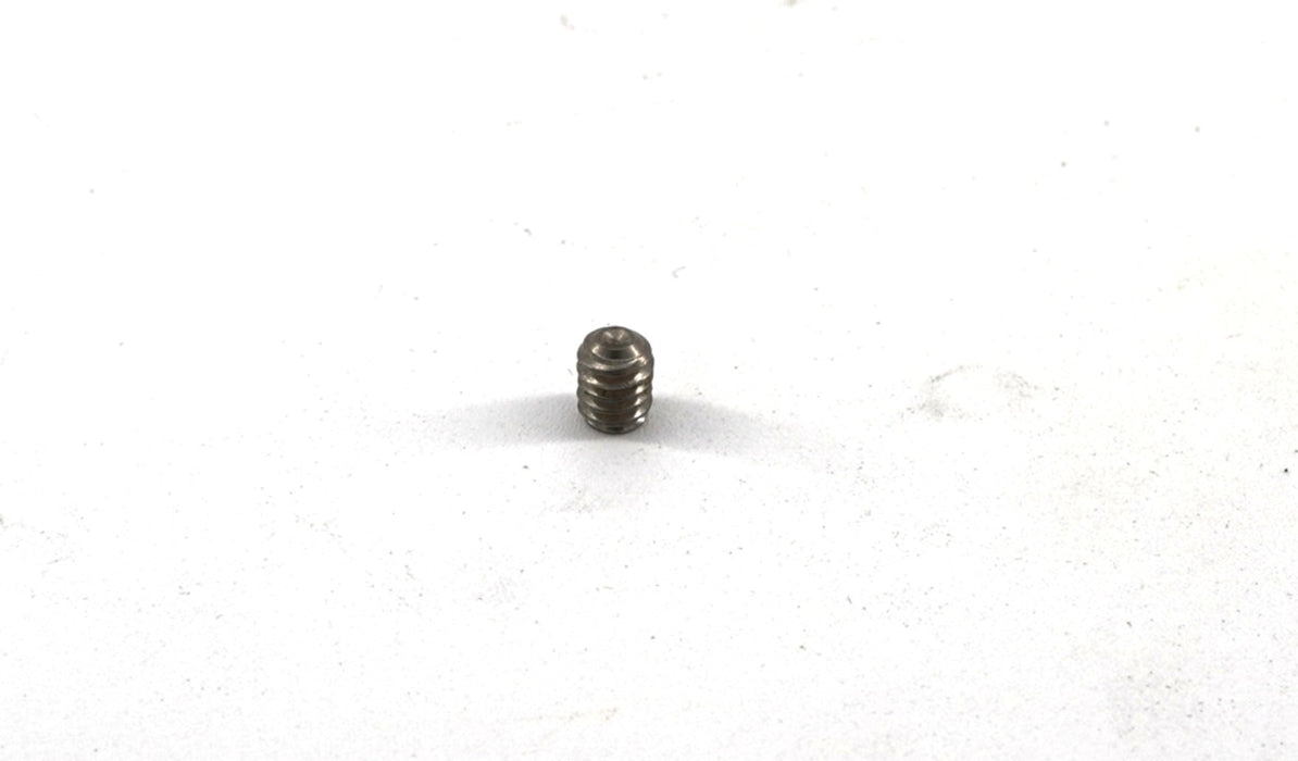 Set Screw, 1/4"-20 NC x 0.313", Stainless Steel