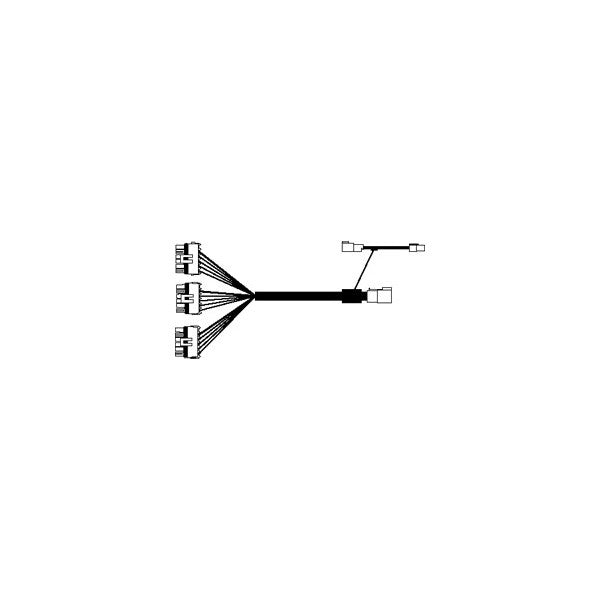 Cable - Tru-Count Air Solenoids - 3'