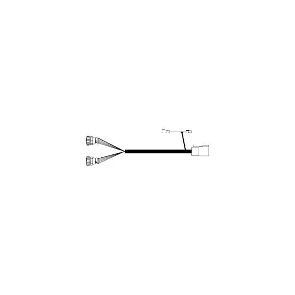 12 Row Cable with One Row Per Section