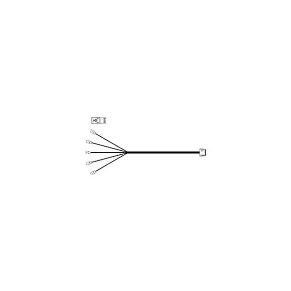 Cable - 5 Section 2-Wire DIN Form B - 6'