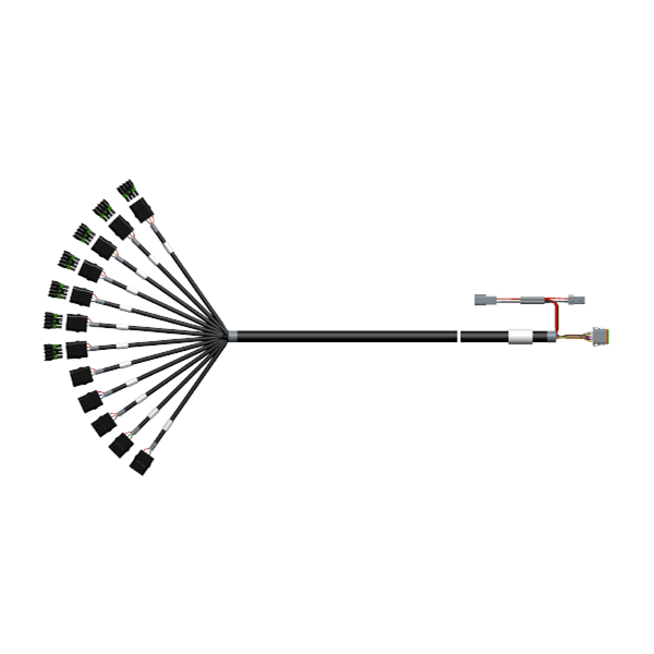 Cable - 12 Section [WP4F] - 6'
