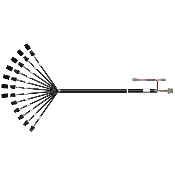 Cable - 12 Section [WP3M] - 6'