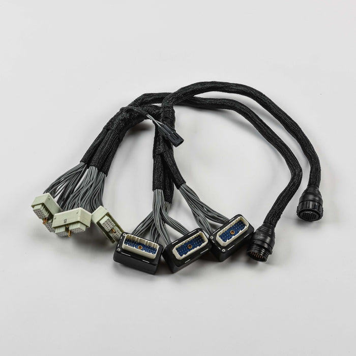 Harness, Adapter Wedgebox 32 Row