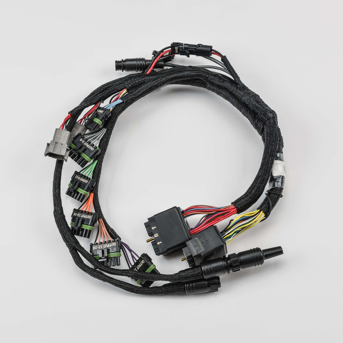 Harness, RFM Base