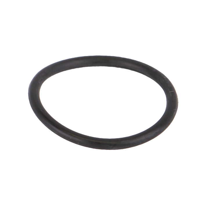 2" LSQ Plug O-Ring