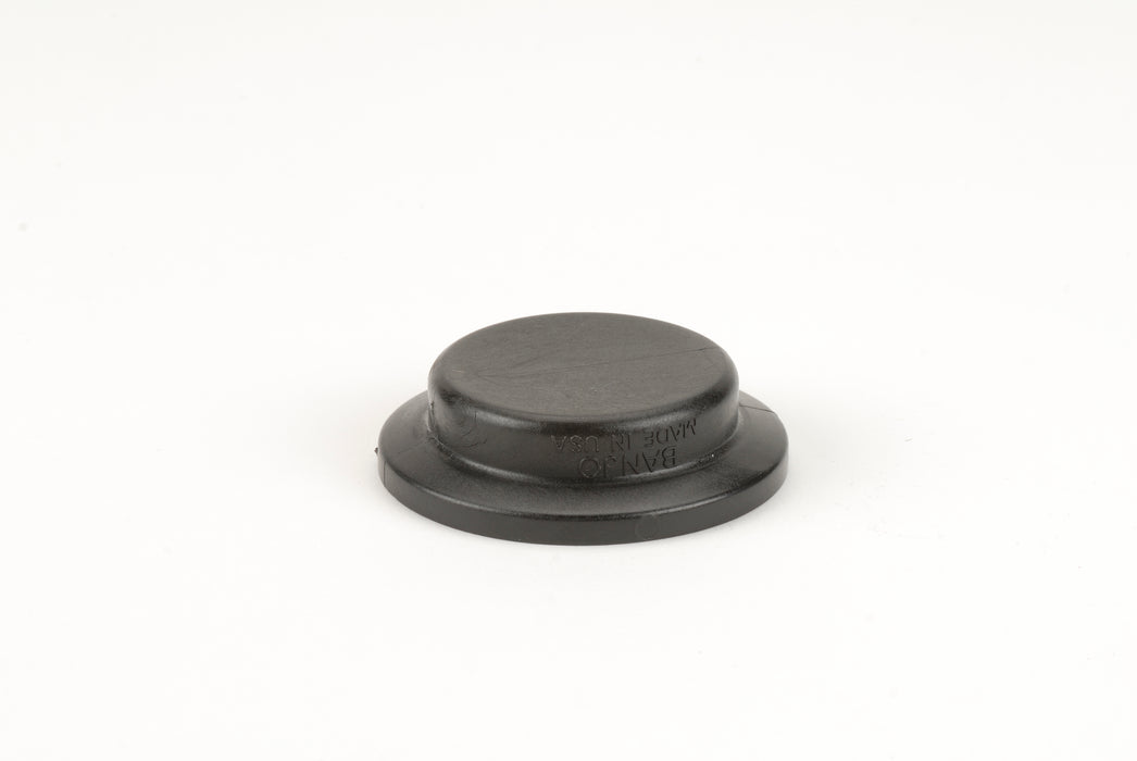 2" Flange Plug
