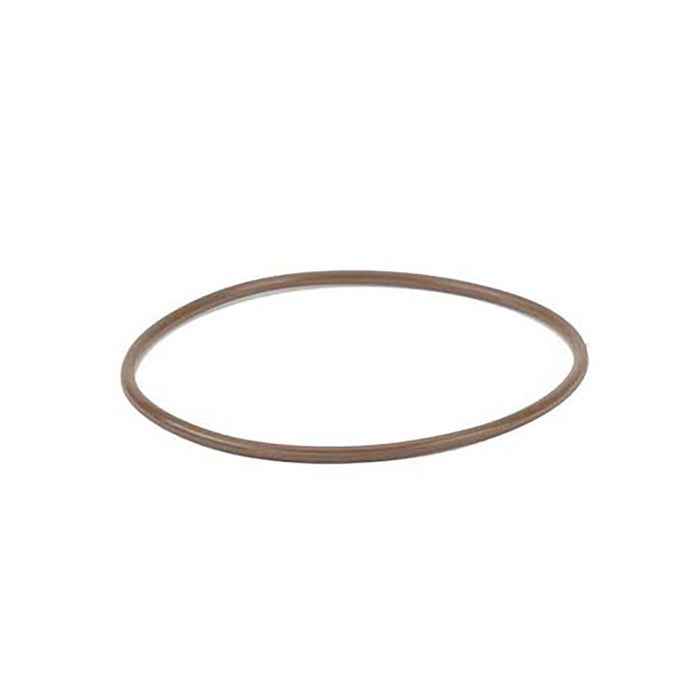 2" Manifold Line Strainer FKM O-Ring