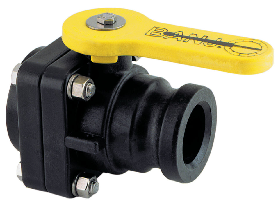 2" Male Adapter x 2" Female NPT